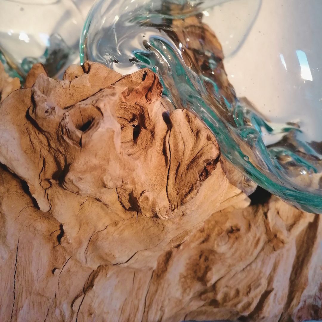 Sonnenlicht verfängt sich in geschmolzenem Glas auf einer Baumwurzel